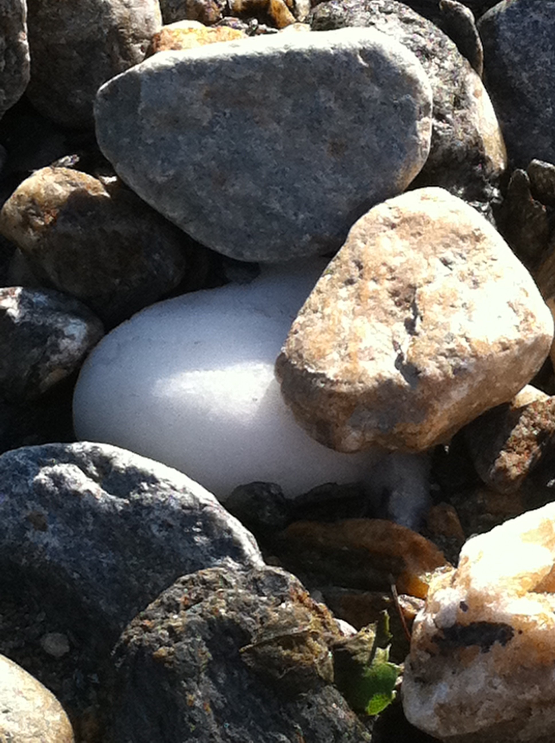 Vragen stellen werkt !!