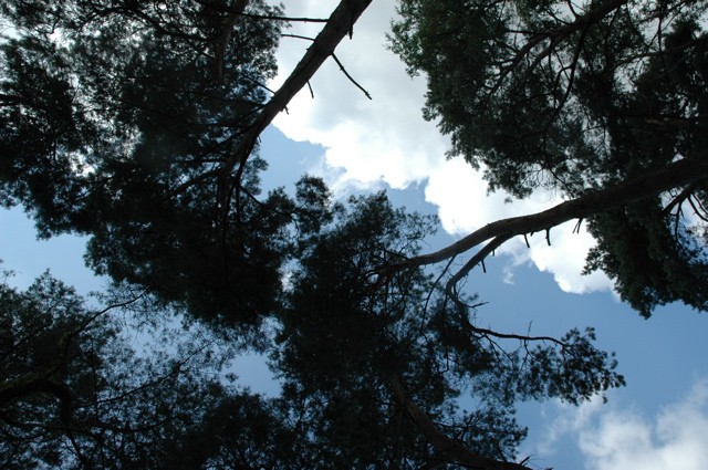 Hoe kan ik transformeren ? Door een spel te spelen !!