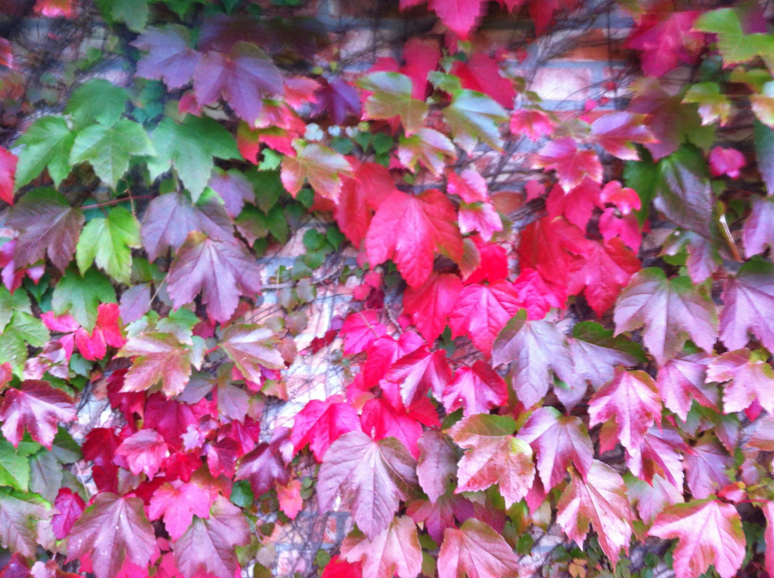 Rouwmythes weg ermee !!