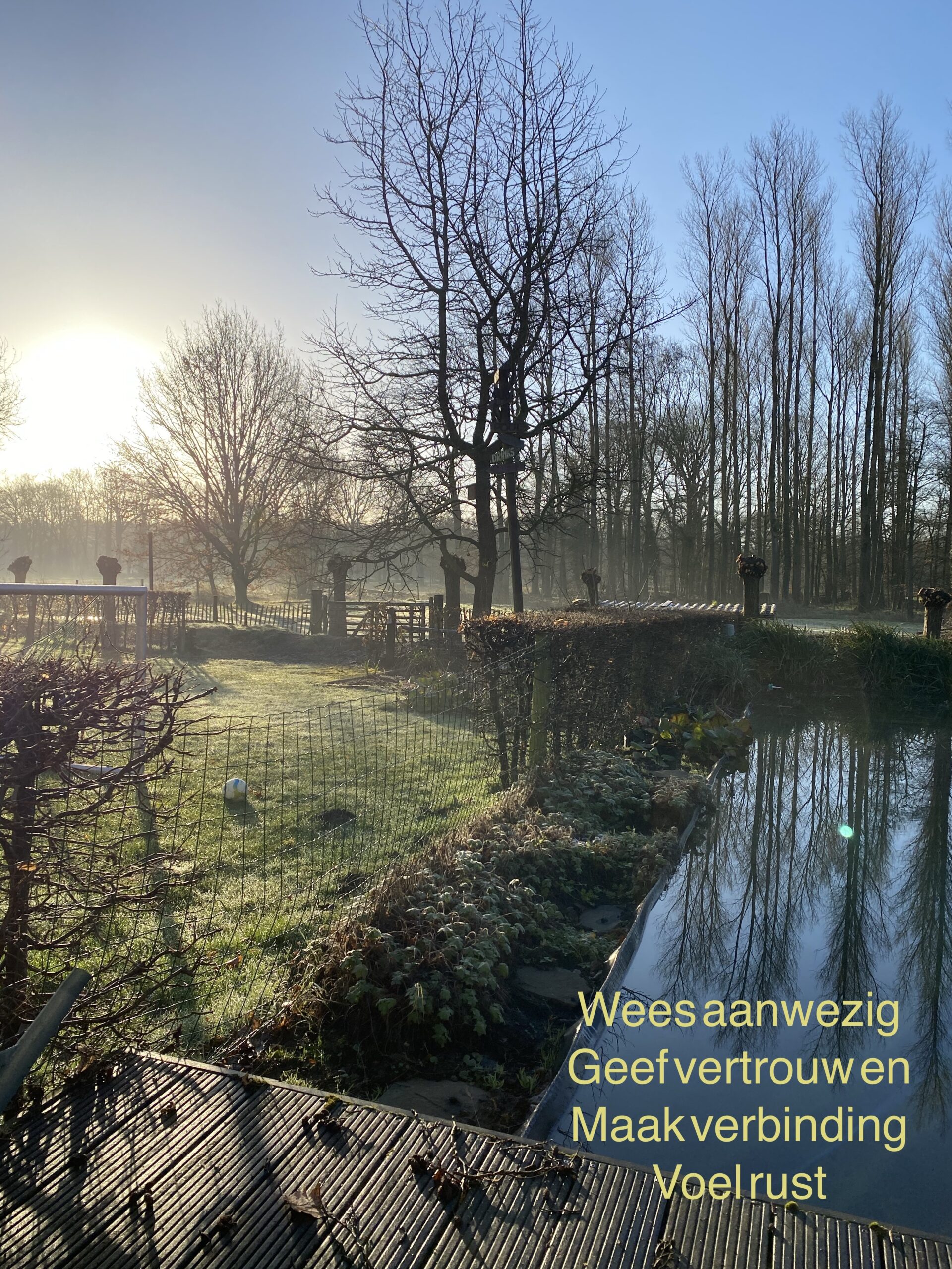 De VUCA realiteit omarmen